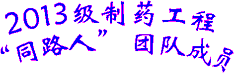 2013级制药工程“同路人” 团队成员