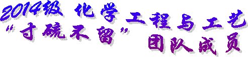 2014级 化学工程与工艺“寸硫不留”团队成员
